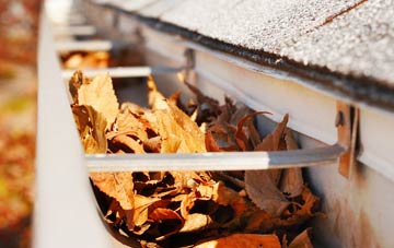 Hooe Common gutter cleaning companies