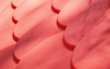 Hooe Common plastic roof costs