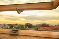 rated Hooe Common roof window companies