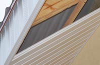 rated Hooe Common soffit repair companies